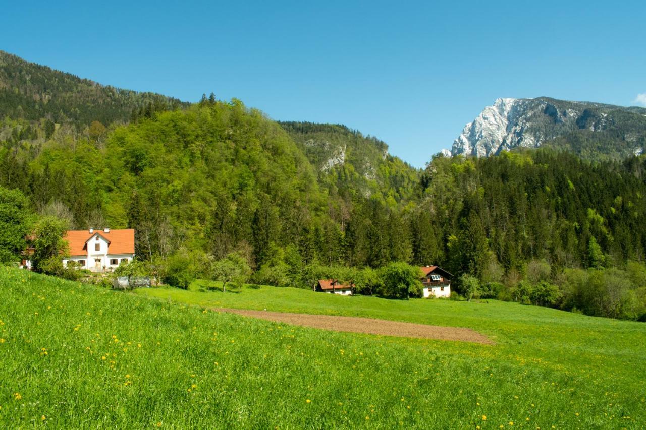 Willa Turisticna Kmetija Stoglej Luče Zewnętrze zdjęcie